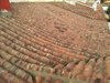 20120302_082257