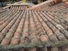 20120301_132545