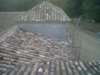 IMG00047-20111006-0837