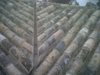IMG00042-20111006-0836