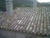 IMG00040-20111006-0835