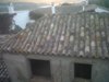IMG00052-20111006-0842