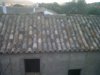 IMG00056-20111006-0842