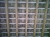 IMG00009-20110915-0824