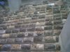 IMG00051-20111006-0837
