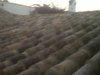 IMG00038-20111006-0820