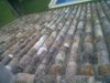IMG00050-20111006-0837