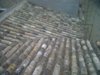 IMG00048-20111006-0837