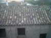 IMG00057-20111006-0842