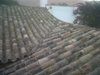 IMG00041-20111006-0835