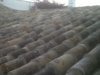 IMG00036-20111006-0820