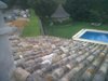 IMG00046-20111006-0836