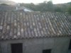 IMG00054-20111006-0842